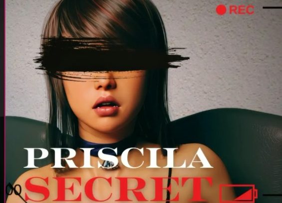 《普里西拉的秘密 (Priscila Secret)》【PC/安卓/AI汉化/亚洲3DSLG游戏下载/3.05G】